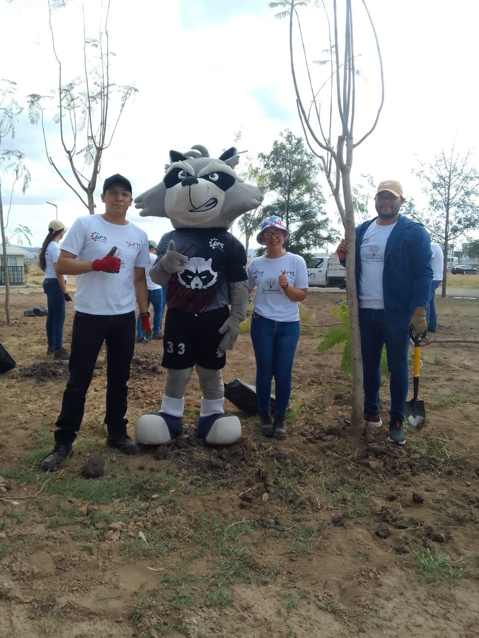 YKM y UTS - Fotografía 3